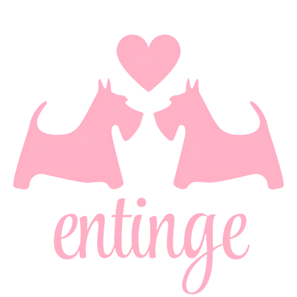 Entinge logo